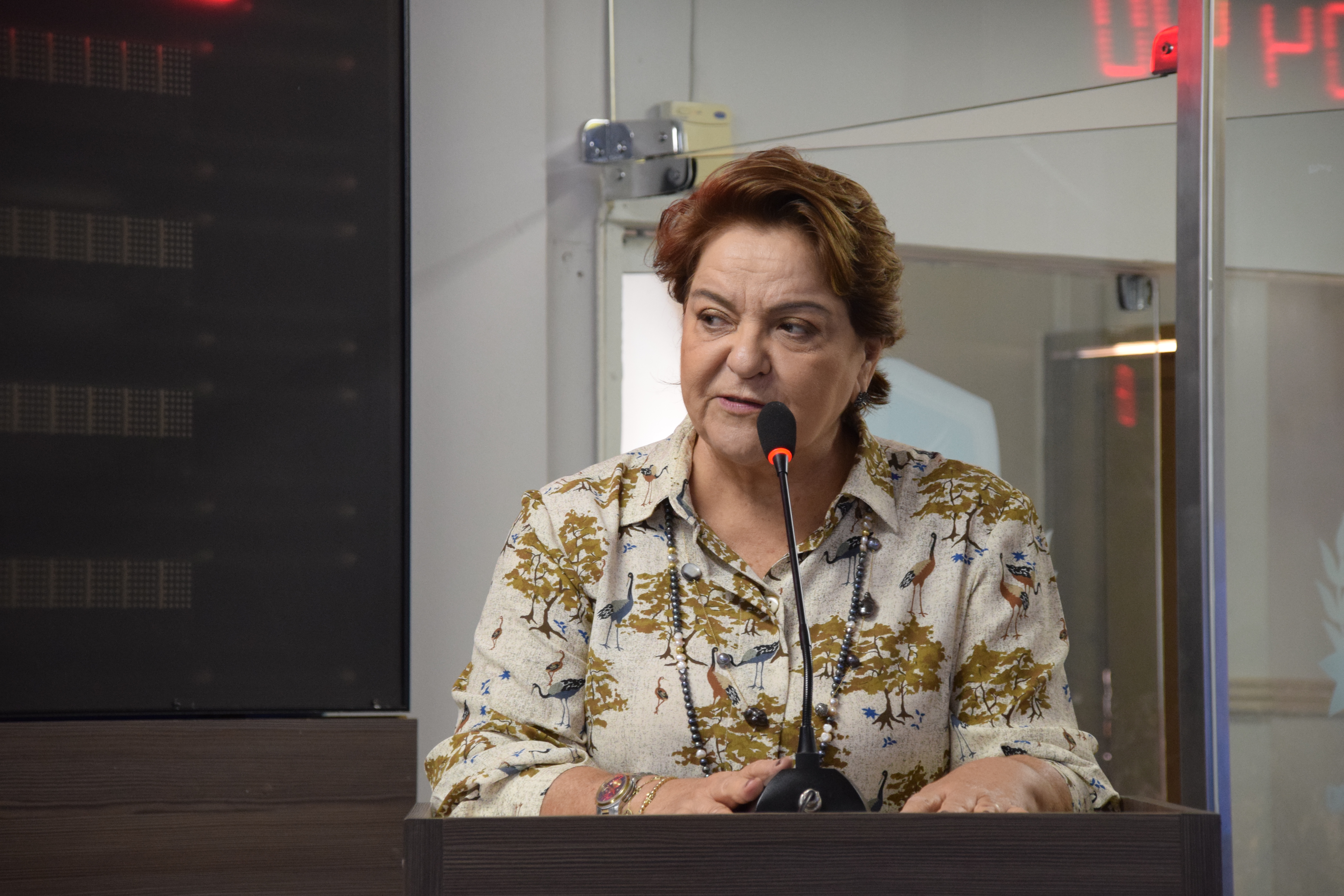 Sandra apresenta mais de 125 propostas à Câmara